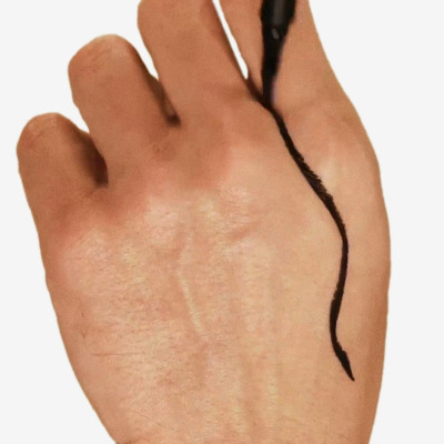 makeupshow-fabulous-eyeliner-swatch